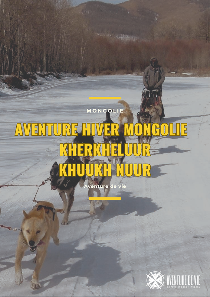 Chien traineau Kherkheluur ou Khuukh Nuur 1